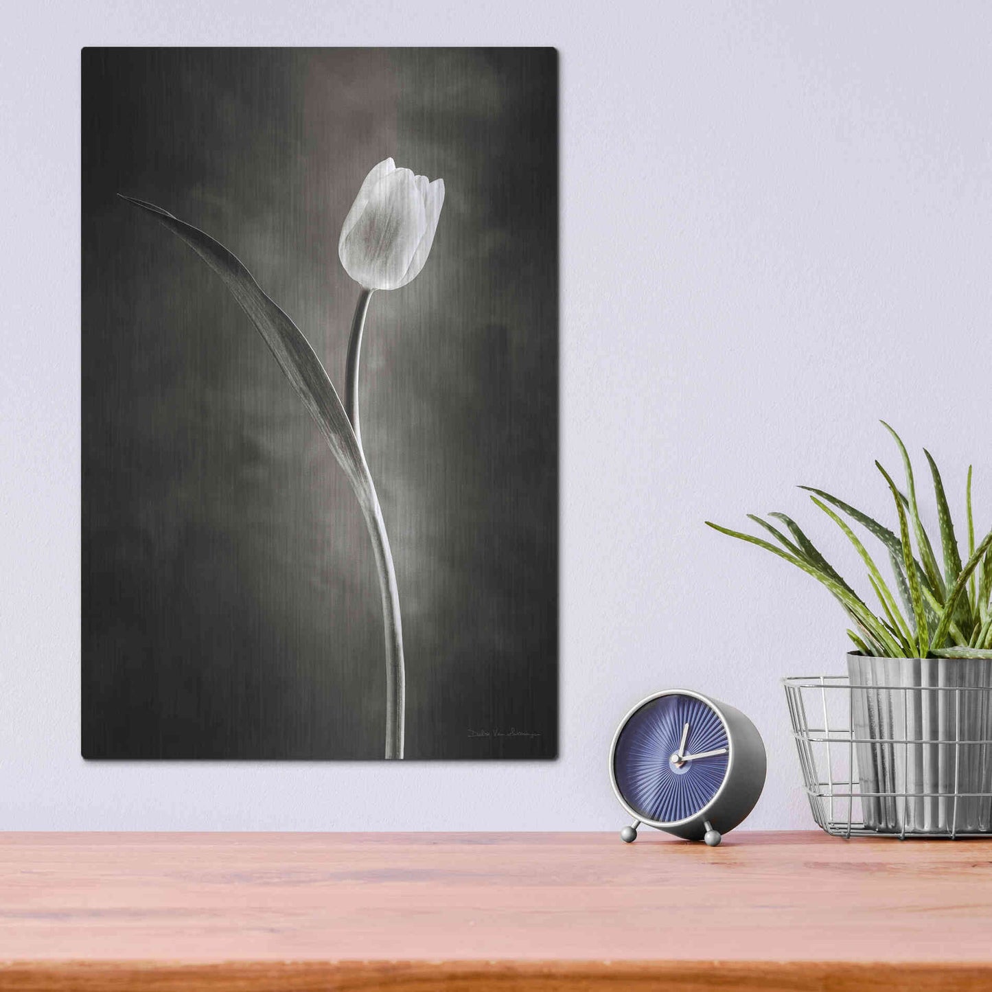 Luxe Metal Art 'Two Tone Tulips II' by Debra Van Swearingen, Metal Wall Art,12x16