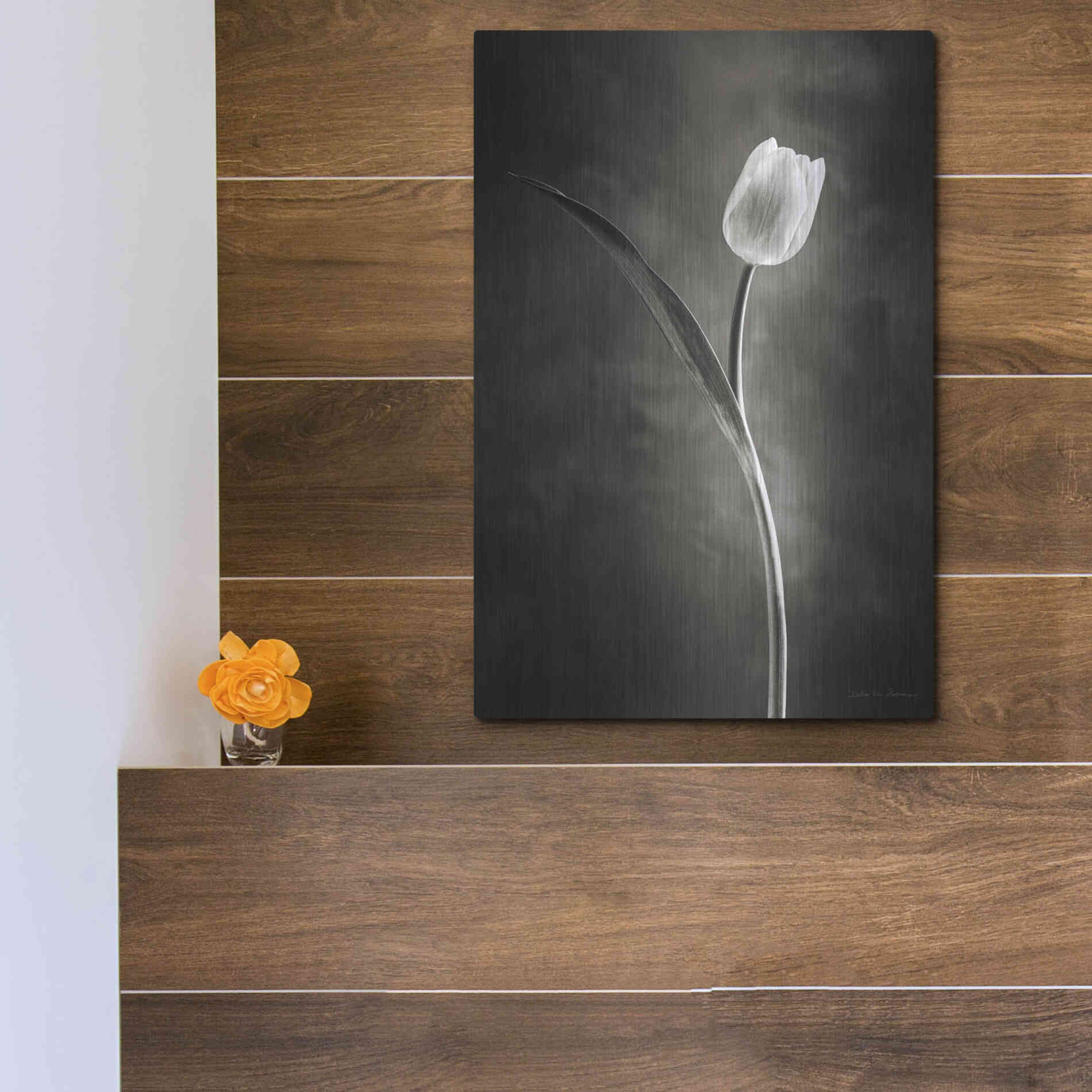 Luxe Metal Art 'Two Tone Tulips II' by Debra Van Swearingen, Metal Wall Art,12x16
