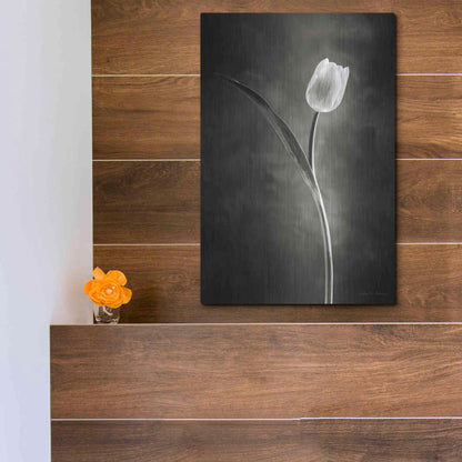 Luxe Metal Art 'Two Tone Tulips II' by Debra Van Swearingen, Metal Wall Art,12x16