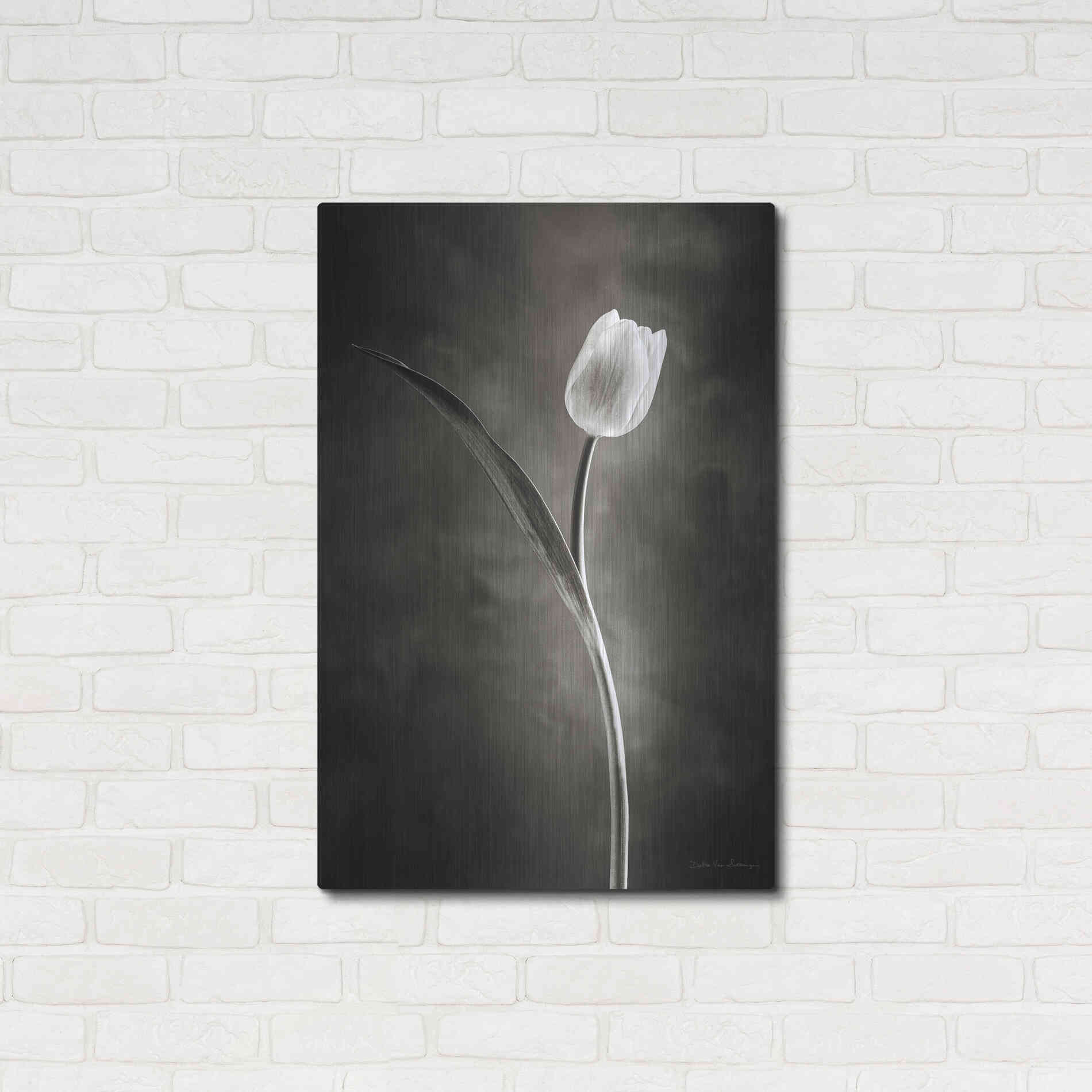 Luxe Metal Art 'Two Tone Tulips II' by Debra Van Swearingen, Metal Wall Art,24x36
