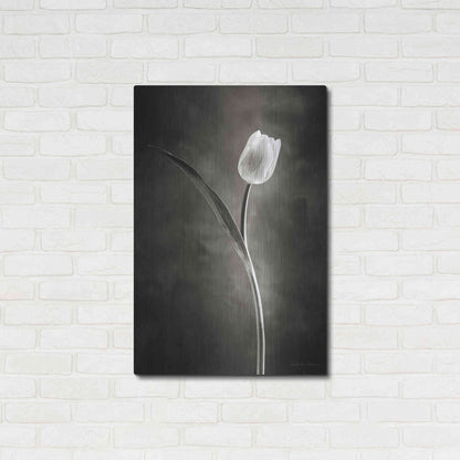 Luxe Metal Art 'Two Tone Tulips II' by Debra Van Swearingen, Metal Wall Art,24x36