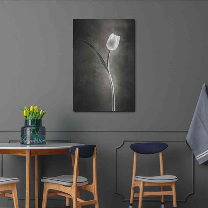 Luxe Metal Art 'Two Tone Tulips II' by Debra Van Swearingen, Metal Wall Art,24x36