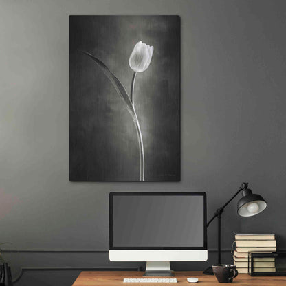 Luxe Metal Art 'Two Tone Tulips II' by Debra Van Swearingen, Metal Wall Art,24x36