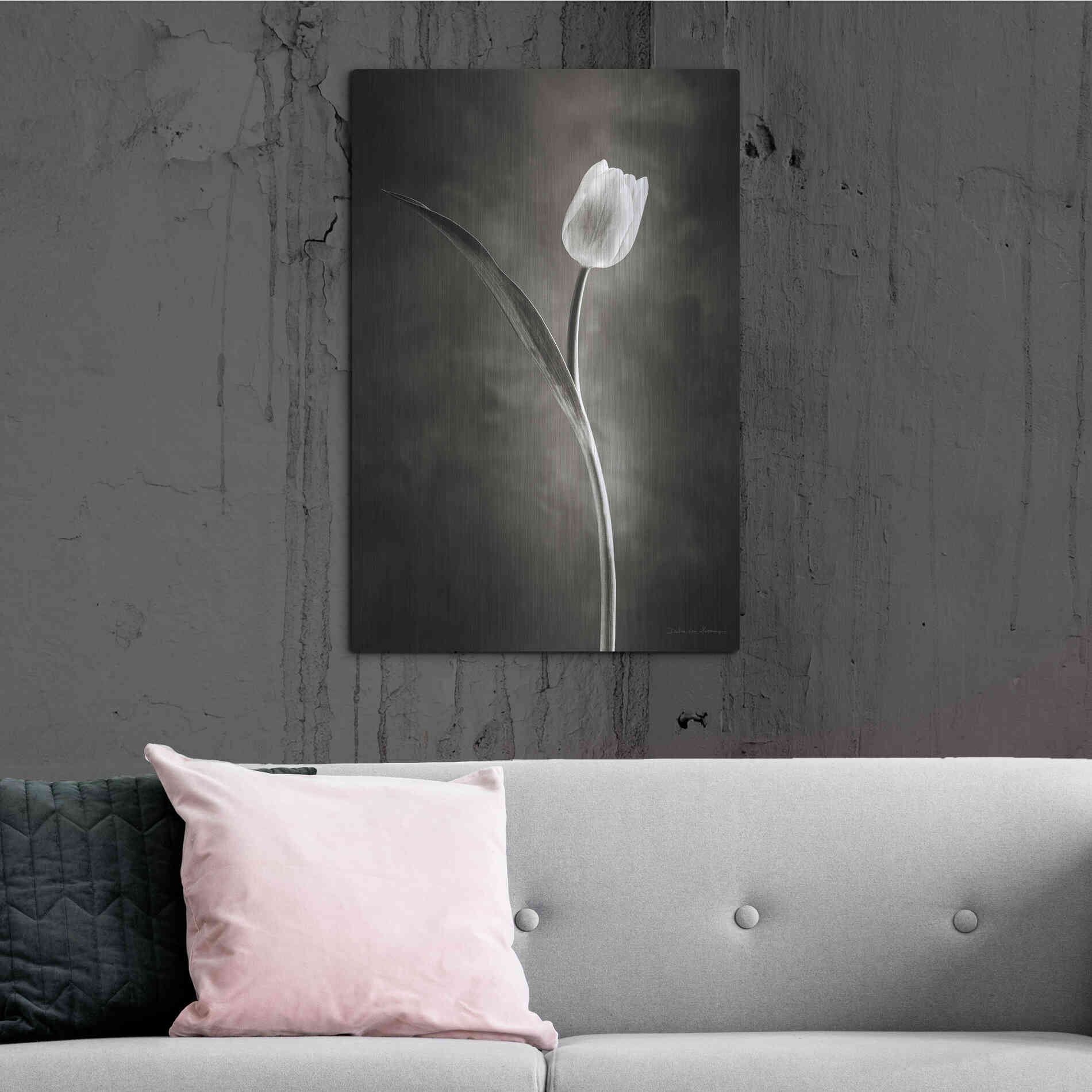 Luxe Metal Art 'Two Tone Tulips II' by Debra Van Swearingen, Metal Wall Art,24x36