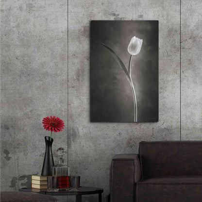 Luxe Metal Art 'Two Tone Tulips II' by Debra Van Swearingen, Metal Wall Art,24x36