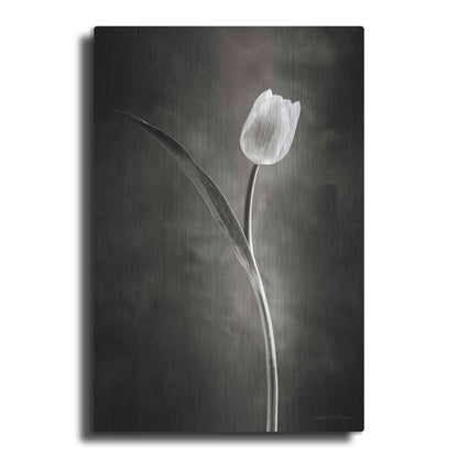 Luxe Metal Art 'Two Tone Tulips II' by Debra Van Swearingen, Metal Wall Art