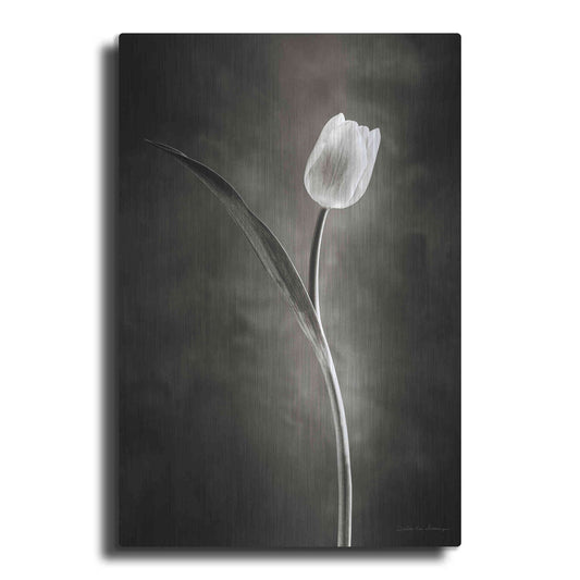 Luxe Metal Art 'Two Tone Tulips II' by Debra Van Swearingen, Metal Wall Art
