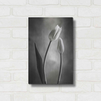 Luxe Metal Art 'Two Tone Tulips III' by Debra Van Swearingen, Metal Wall Art,12x16