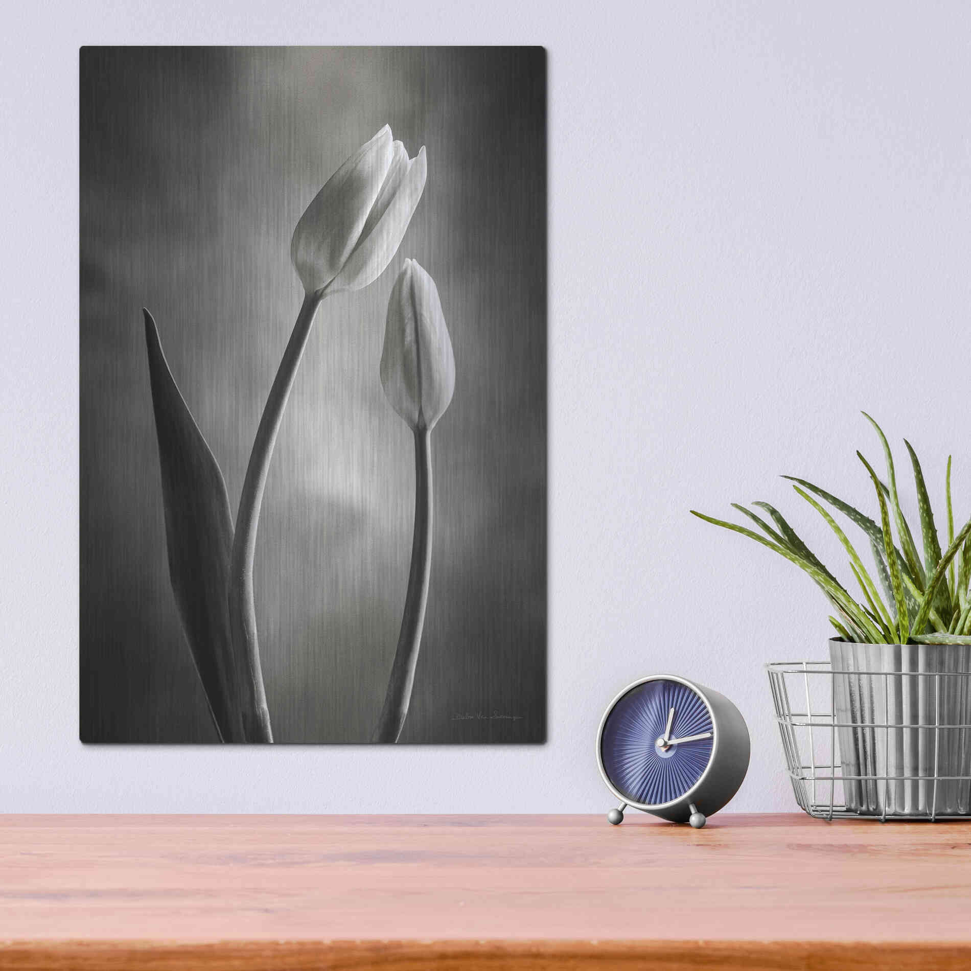 Luxe Metal Art 'Two Tone Tulips III' by Debra Van Swearingen, Metal Wall Art,12x16