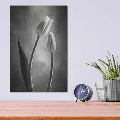 Luxe Metal Art 'Two Tone Tulips III' by Debra Van Swearingen, Metal Wall Art,12x16