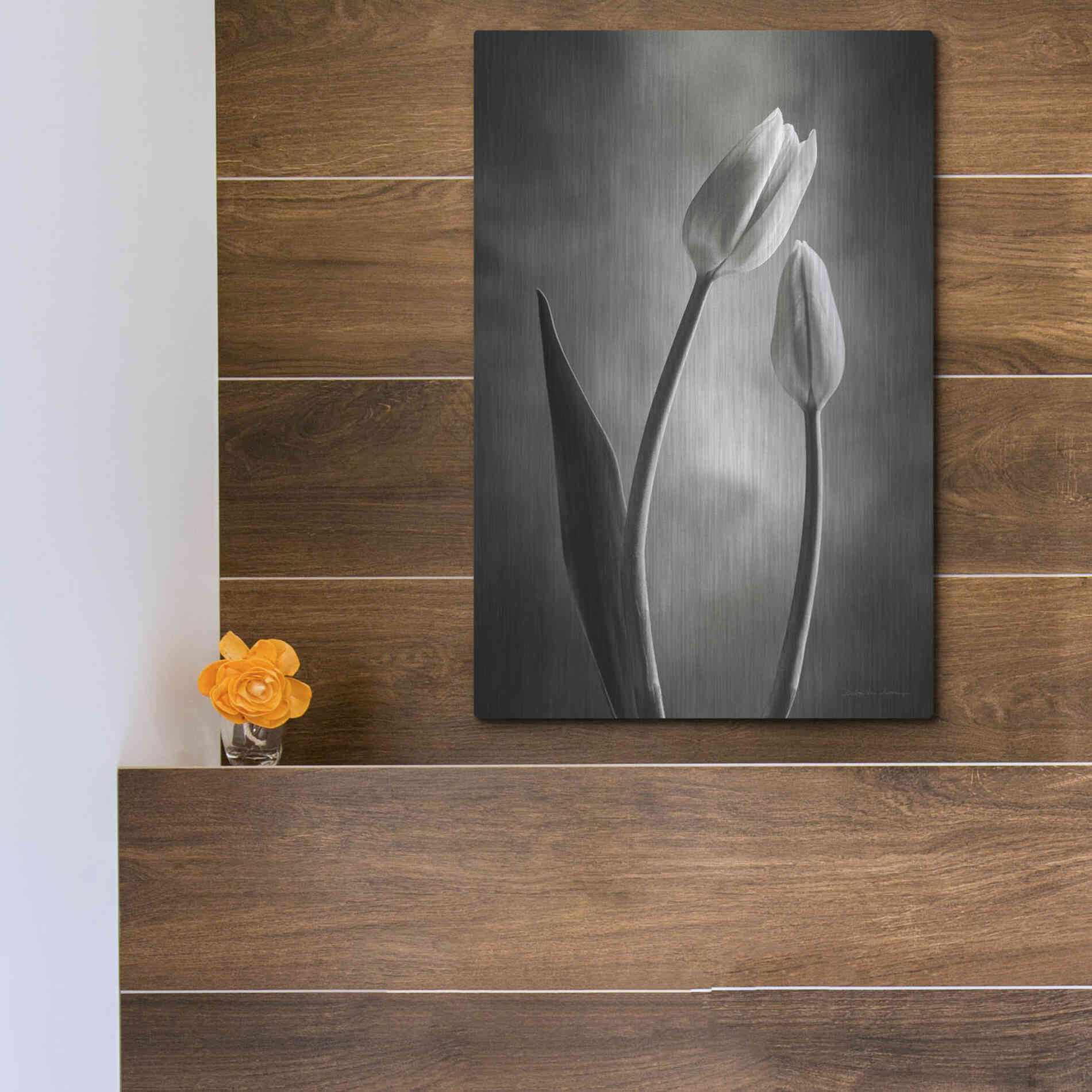 Luxe Metal Art 'Two Tone Tulips III' by Debra Van Swearingen, Metal Wall Art,12x16