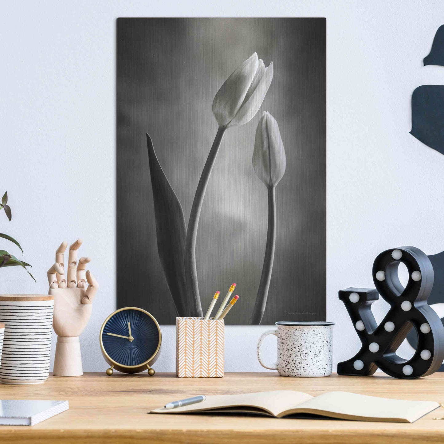 Luxe Metal Art 'Two Tone Tulips III' by Debra Van Swearingen, Metal Wall Art,12x16