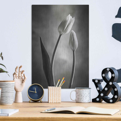 Luxe Metal Art 'Two Tone Tulips III' by Debra Van Swearingen, Metal Wall Art,12x16