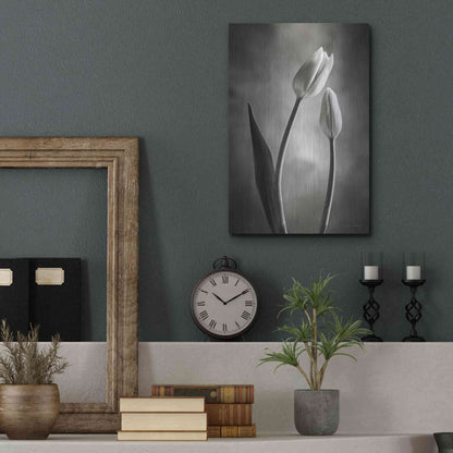 Luxe Metal Art 'Two Tone Tulips III' by Debra Van Swearingen, Metal Wall Art,12x16