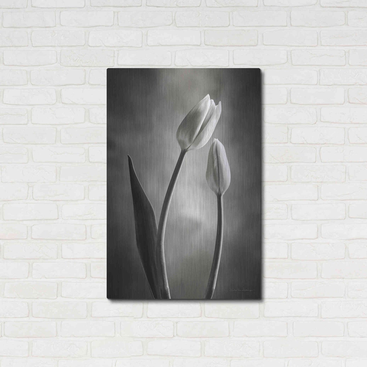 Luxe Metal Art 'Two Tone Tulips III' by Debra Van Swearingen, Metal Wall Art,24x36