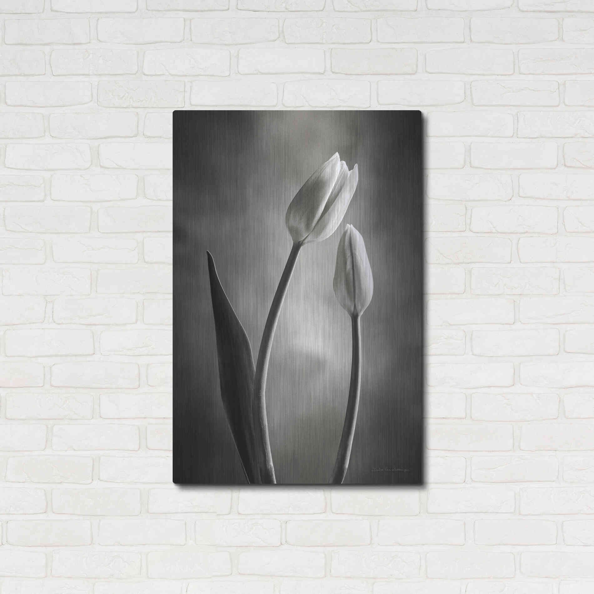 Luxe Metal Art 'Two Tone Tulips III' by Debra Van Swearingen, Metal Wall Art,24x36
