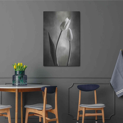 Luxe Metal Art 'Two Tone Tulips III' by Debra Van Swearingen, Metal Wall Art,24x36
