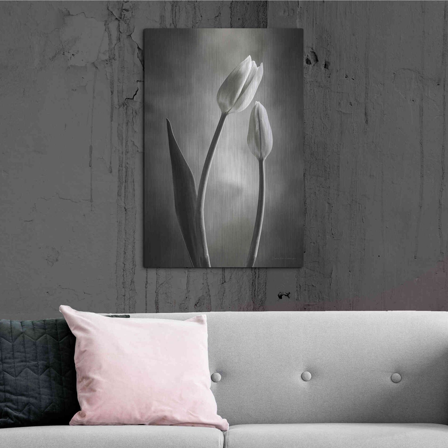 Luxe Metal Art 'Two Tone Tulips III' by Debra Van Swearingen, Metal Wall Art,24x36