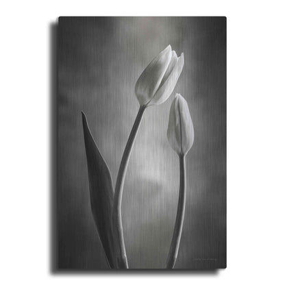 Luxe Metal Art 'Two Tone Tulips III' by Debra Van Swearingen, Metal Wall Art