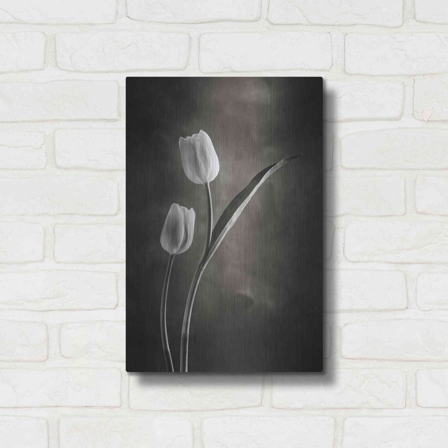 Luxe Metal Art 'Two Tone Tulips IV' by Debra Van Swearingen, Metal Wall Art,12x16