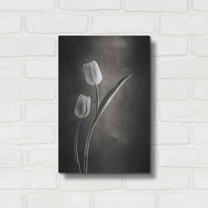 Luxe Metal Art 'Two Tone Tulips IV' by Debra Van Swearingen, Metal Wall Art,12x16