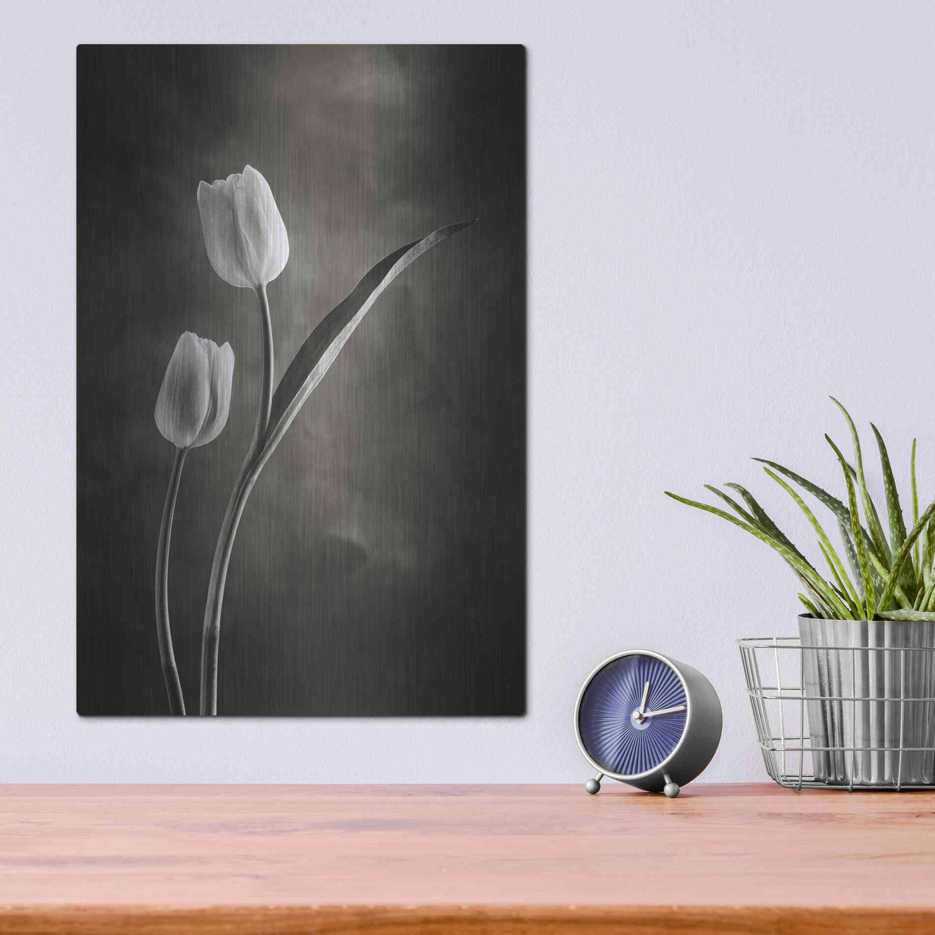 Luxe Metal Art 'Two Tone Tulips IV' by Debra Van Swearingen, Metal Wall Art,12x16