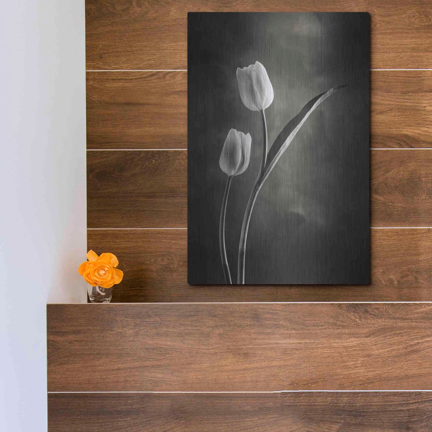 Luxe Metal Art 'Two Tone Tulips IV' by Debra Van Swearingen, Metal Wall Art,12x16