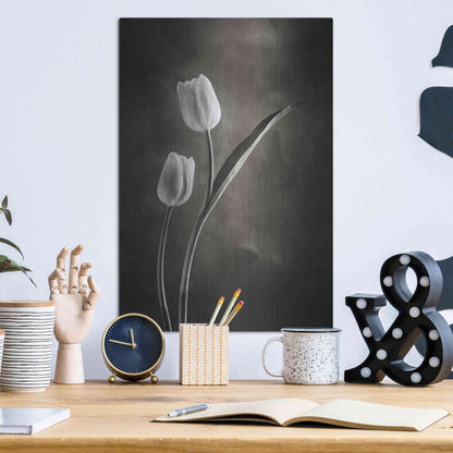 Luxe Metal Art 'Two Tone Tulips IV' by Debra Van Swearingen, Metal Wall Art,12x16