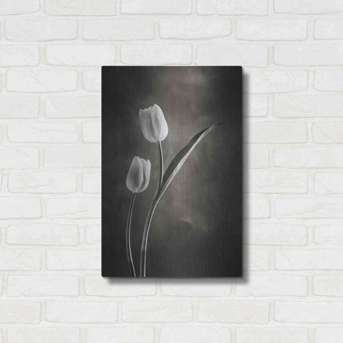 Luxe Metal Art 'Two Tone Tulips IV' by Debra Van Swearingen, Metal Wall Art,16x24