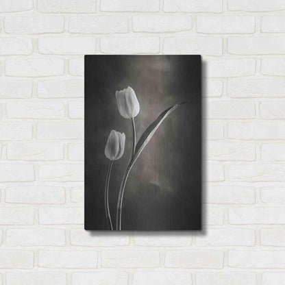 Luxe Metal Art 'Two Tone Tulips IV' by Debra Van Swearingen, Metal Wall Art,16x24