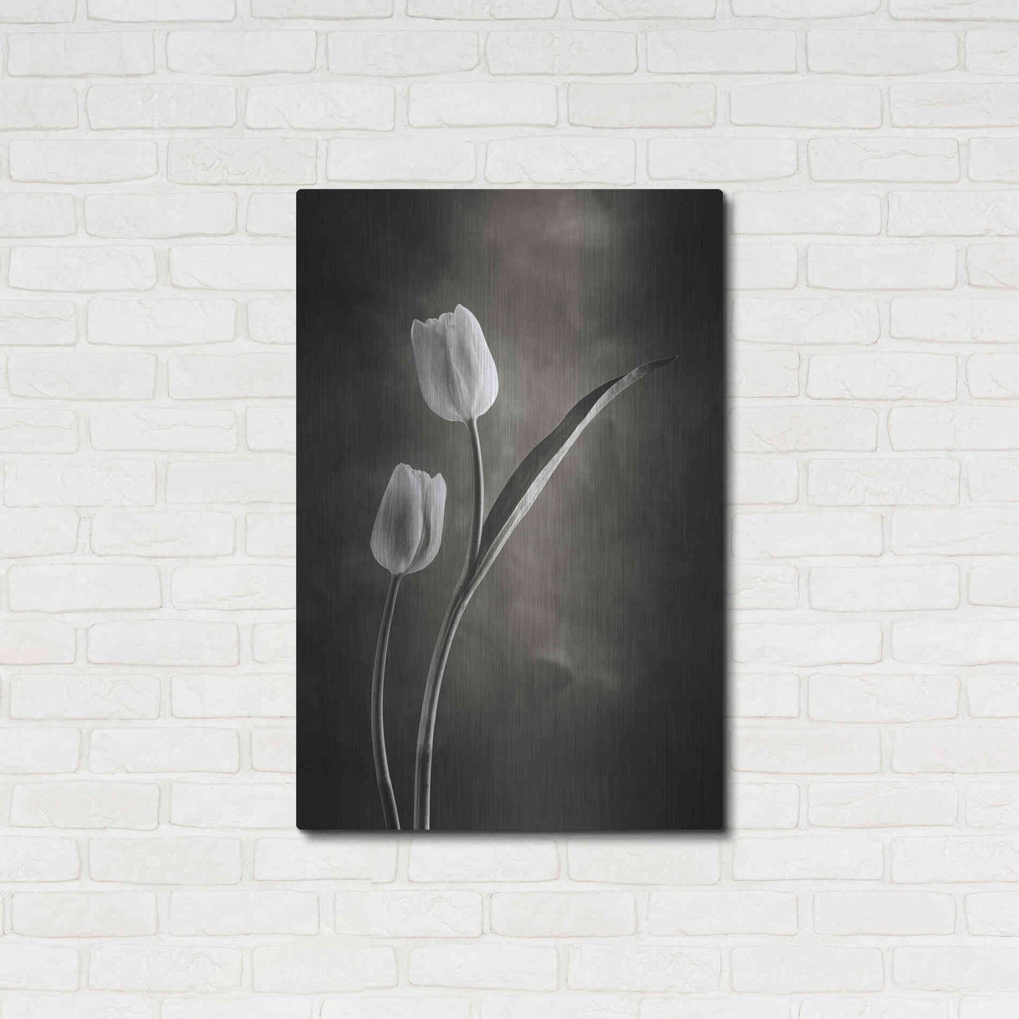 Luxe Metal Art 'Two Tone Tulips IV' by Debra Van Swearingen, Metal Wall Art,24x36
