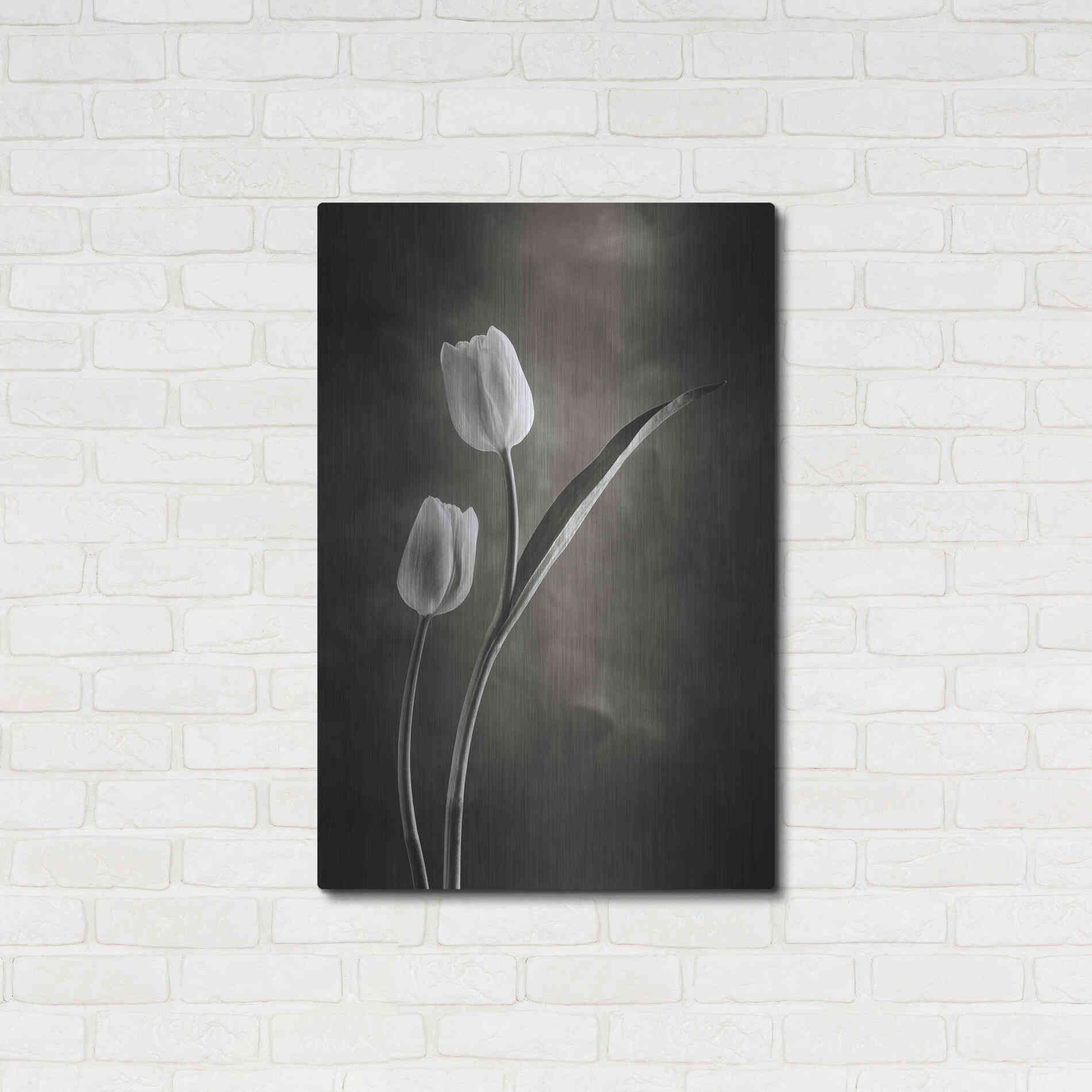 Luxe Metal Art 'Two Tone Tulips IV' by Debra Van Swearingen, Metal Wall Art,24x36