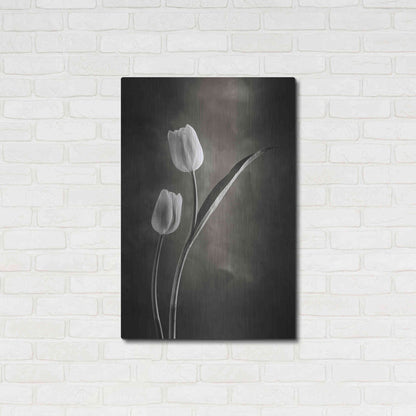 Luxe Metal Art 'Two Tone Tulips IV' by Debra Van Swearingen, Metal Wall Art,24x36