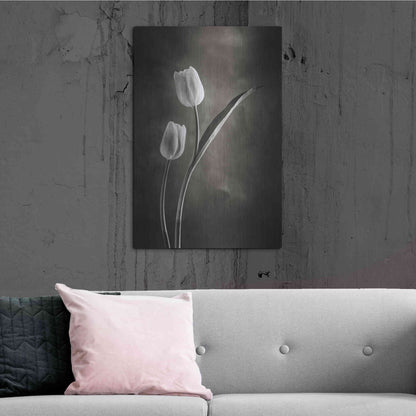 Luxe Metal Art 'Two Tone Tulips IV' by Debra Van Swearingen, Metal Wall Art,24x36