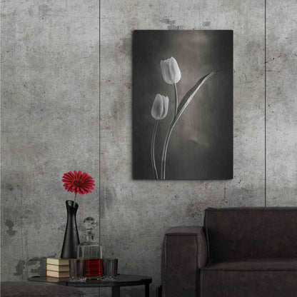 Luxe Metal Art 'Two Tone Tulips IV' by Debra Van Swearingen, Metal Wall Art,24x36