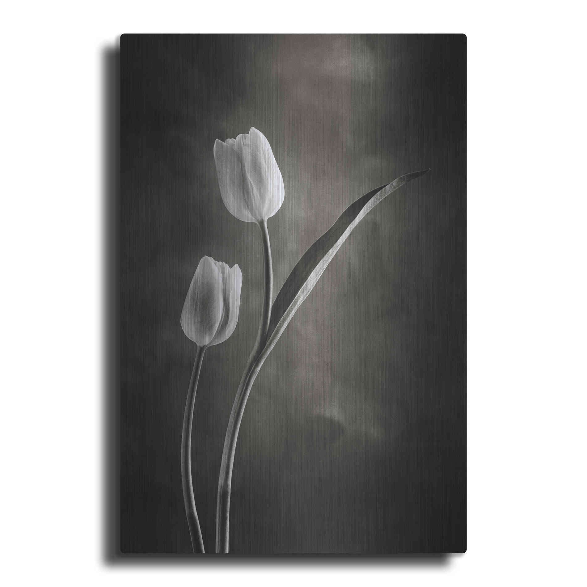 Luxe Metal Art 'Two Tone Tulips IV' by Debra Van Swearingen, Metal Wall Art