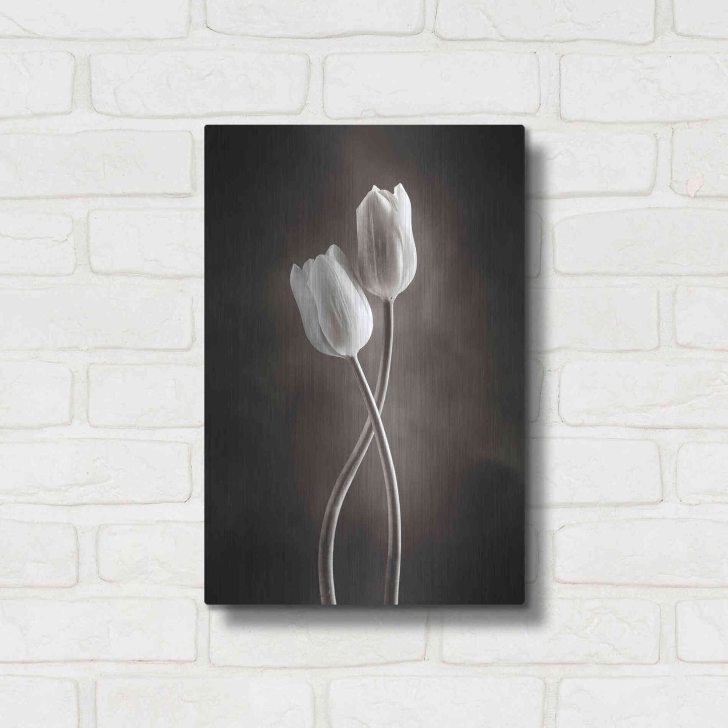 Luxe Metal Art 'Two Tone Tulips V' by Debra Van Swearingen, Metal Wall Art,12x16
