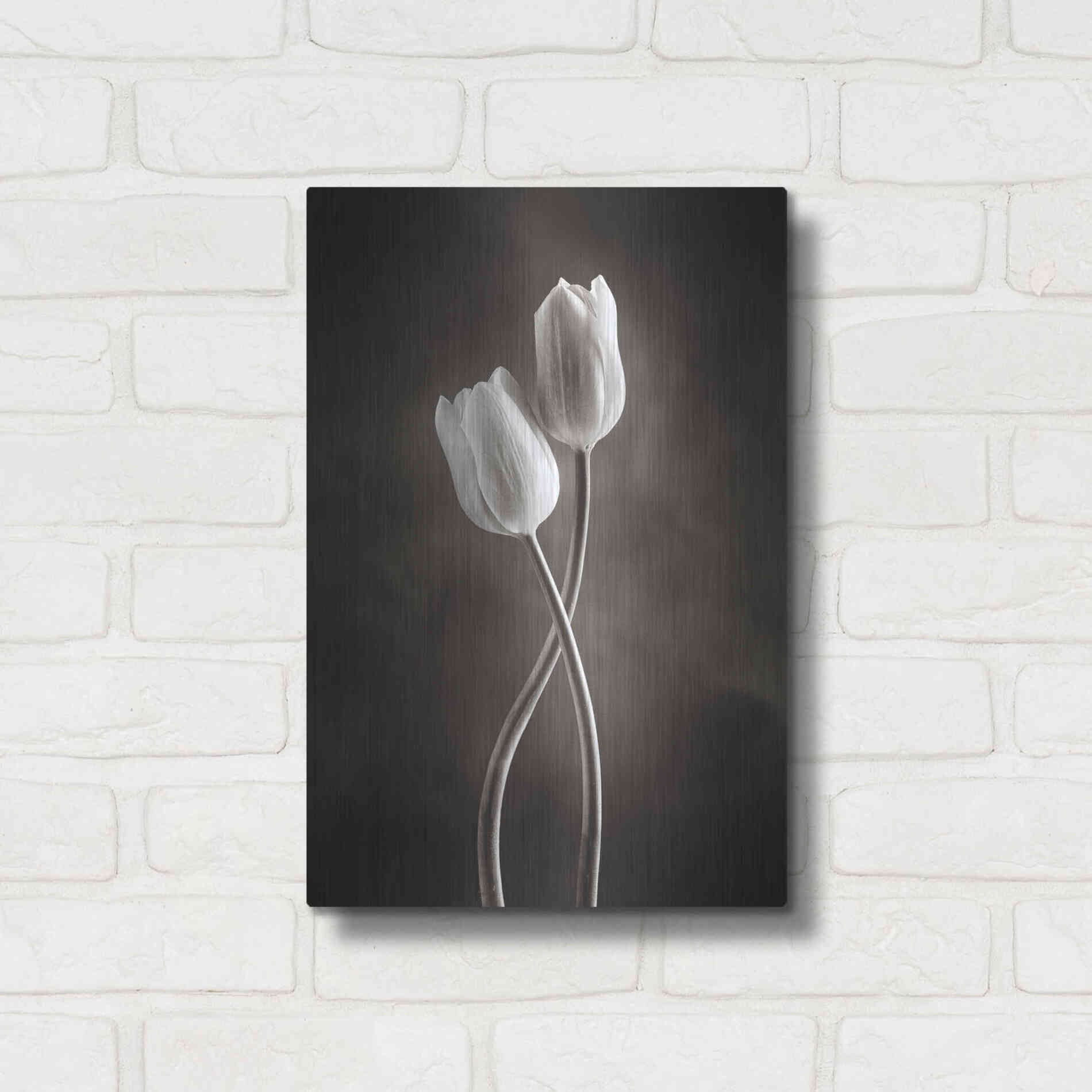 Luxe Metal Art 'Two Tone Tulips V' by Debra Van Swearingen, Metal Wall Art,12x16