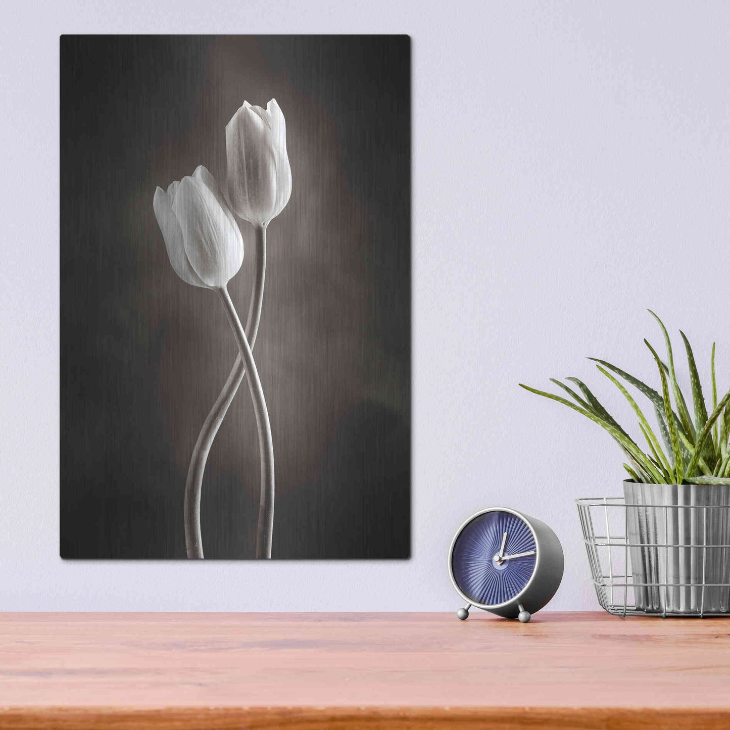 Luxe Metal Art 'Two Tone Tulips V' by Debra Van Swearingen, Metal Wall Art,12x16