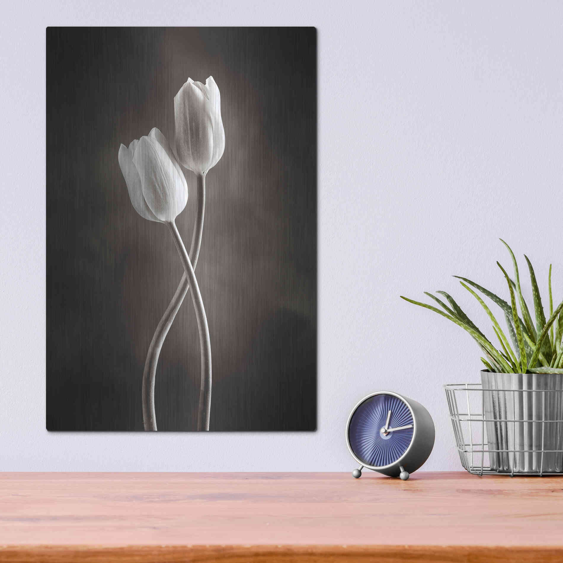 Luxe Metal Art 'Two Tone Tulips V' by Debra Van Swearingen, Metal Wall Art,12x16