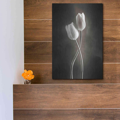 Luxe Metal Art 'Two Tone Tulips V' by Debra Van Swearingen, Metal Wall Art,12x16