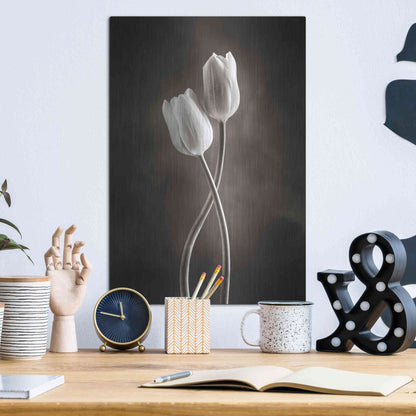 Luxe Metal Art 'Two Tone Tulips V' by Debra Van Swearingen, Metal Wall Art,12x16