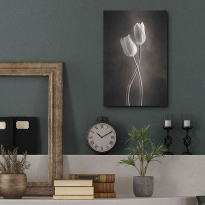 Luxe Metal Art 'Two Tone Tulips V' by Debra Van Swearingen, Metal Wall Art,12x16