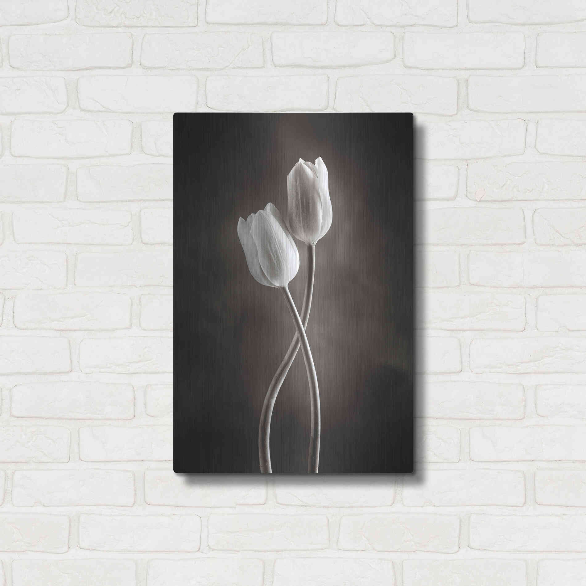Luxe Metal Art 'Two Tone Tulips V' by Debra Van Swearingen, Metal Wall Art,16x24