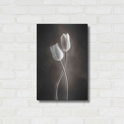 Luxe Metal Art 'Two Tone Tulips V' by Debra Van Swearingen, Metal Wall Art,16x24