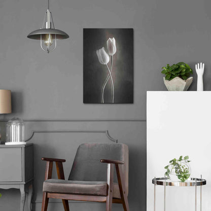 Luxe Metal Art 'Two Tone Tulips V' by Debra Van Swearingen, Metal Wall Art,16x24