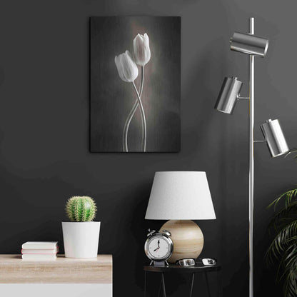 Luxe Metal Art 'Two Tone Tulips V' by Debra Van Swearingen, Metal Wall Art,16x24