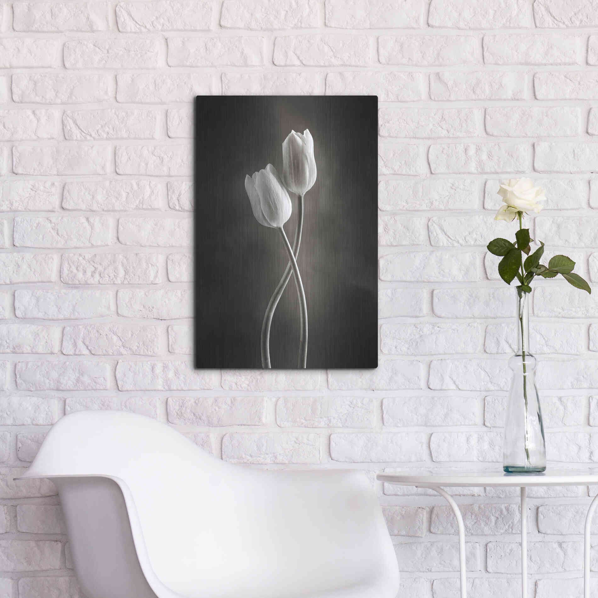 Luxe Metal Art 'Two Tone Tulips V' by Debra Van Swearingen, Metal Wall Art,16x24