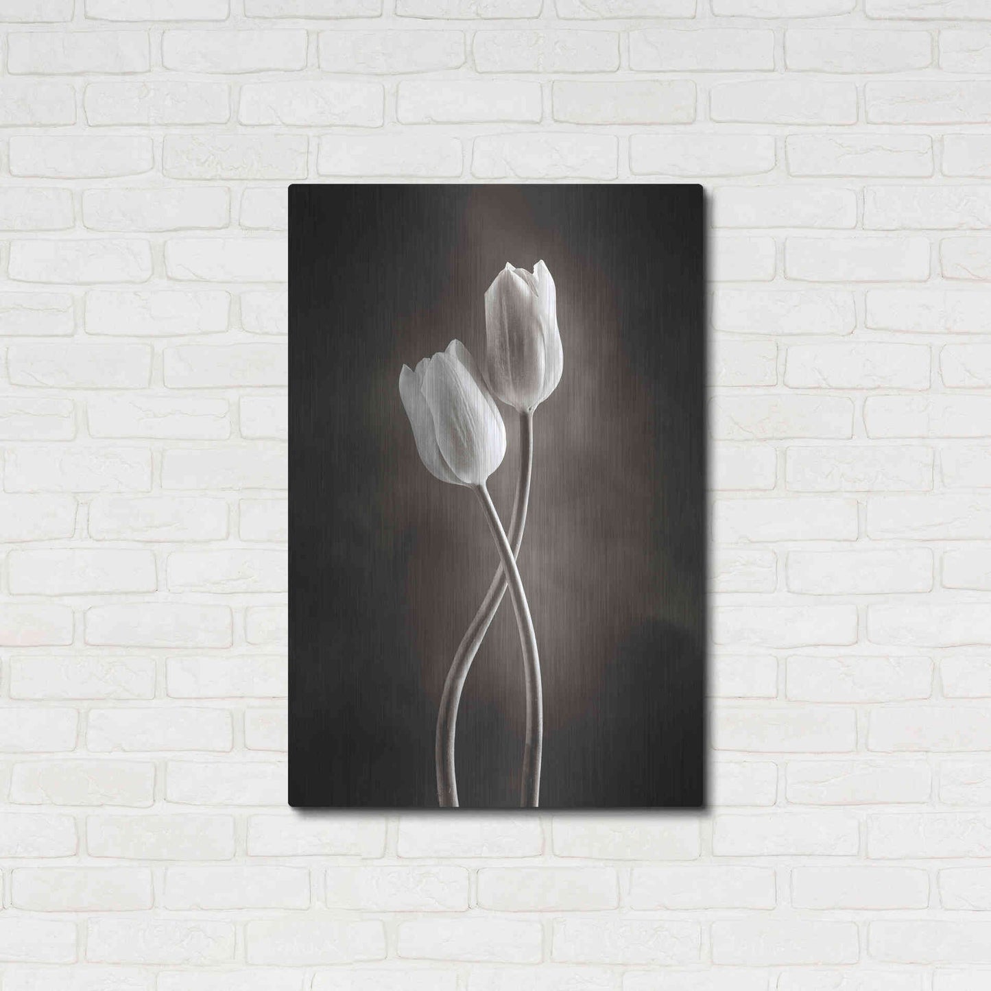 Luxe Metal Art 'Two Tone Tulips V' by Debra Van Swearingen, Metal Wall Art,24x36
