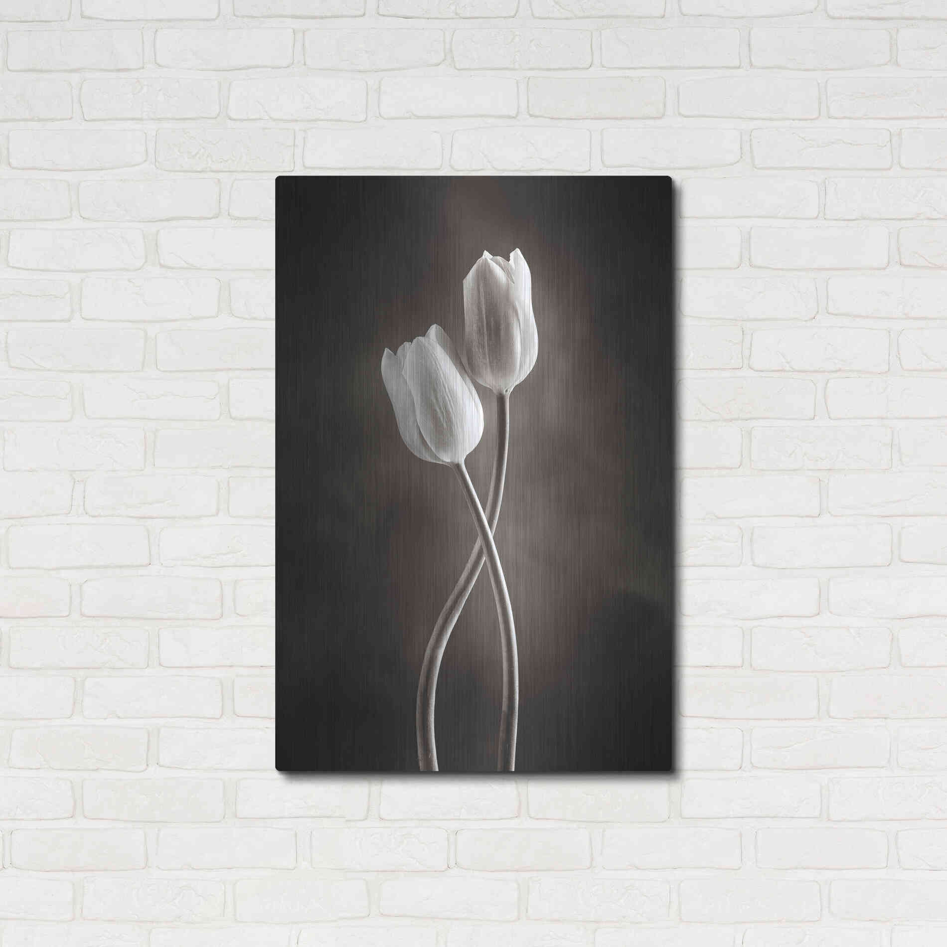 Luxe Metal Art 'Two Tone Tulips V' by Debra Van Swearingen, Metal Wall Art,24x36